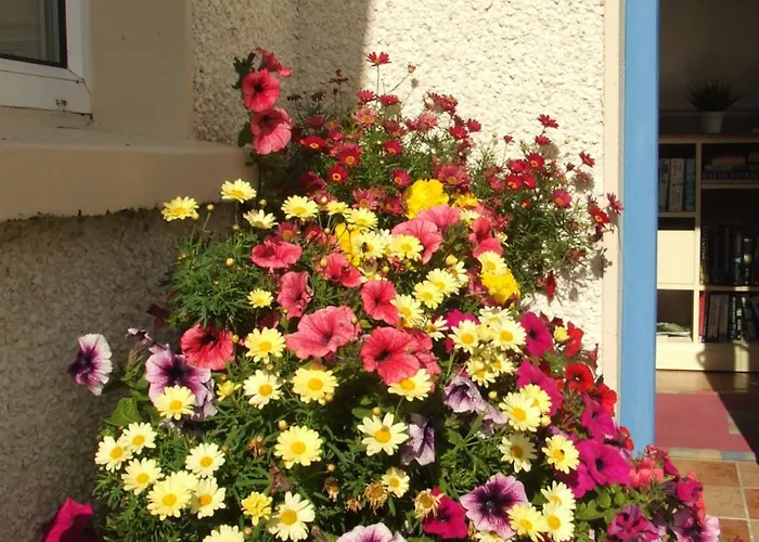 Seacrest Mullaghmore