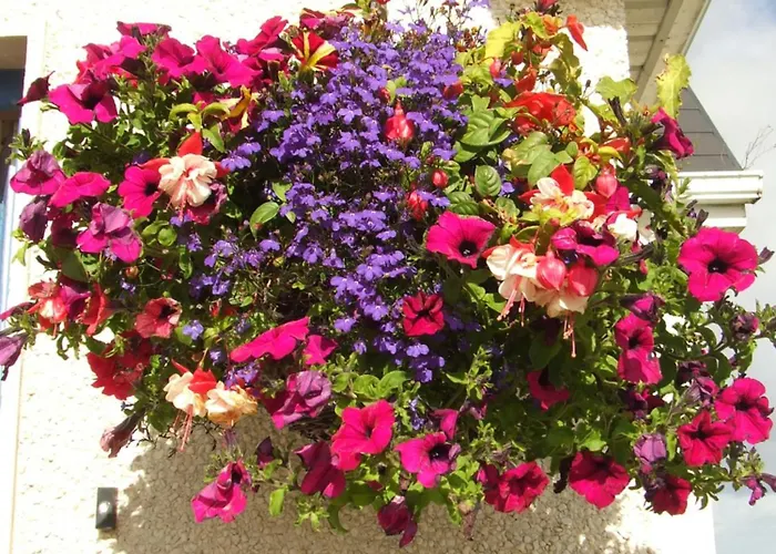 Seacrest 3* Mullaghmore