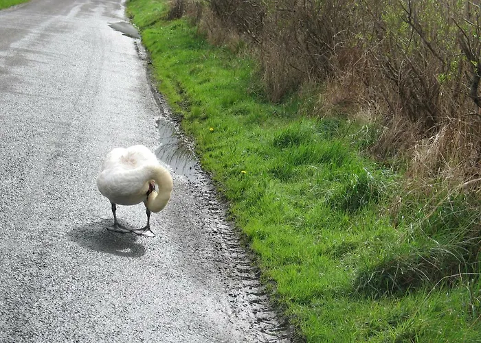 Seacrest Bed & Breakfast