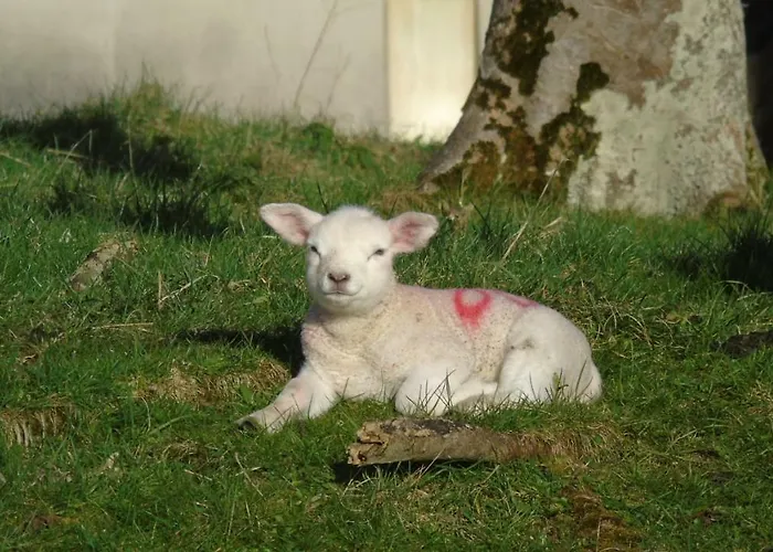 Seacrest Mullaghmore
